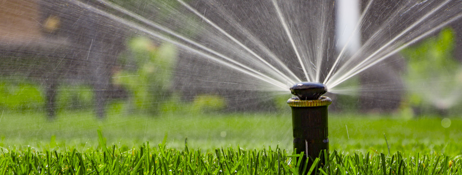 We Dig Sprinklers!